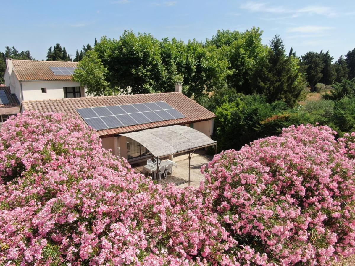 Les Gites Du Mas Canillac Châteaurenard Eksteriør billede